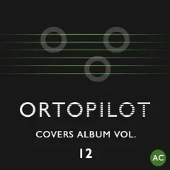 Covers Album Vol. 12 album cover