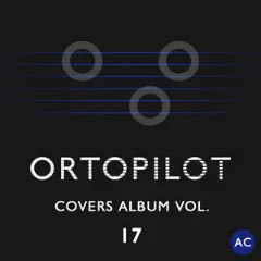 Covers Album Vol. 17 album cover